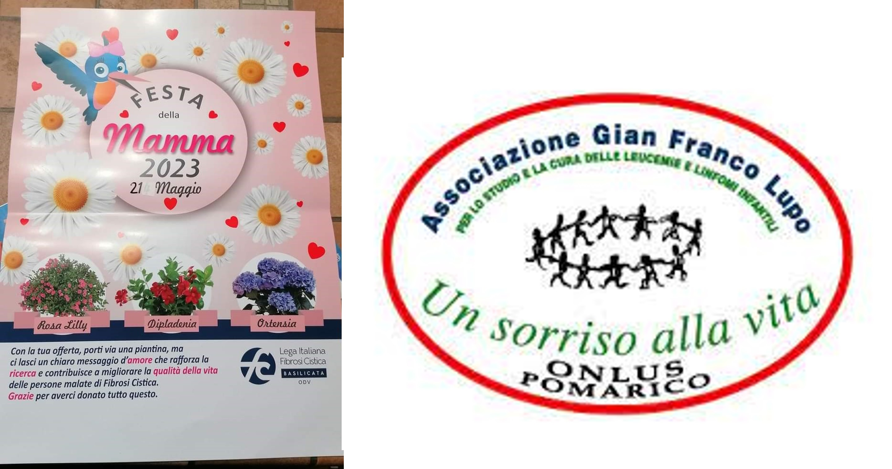  Campagne di solidarietà 2023